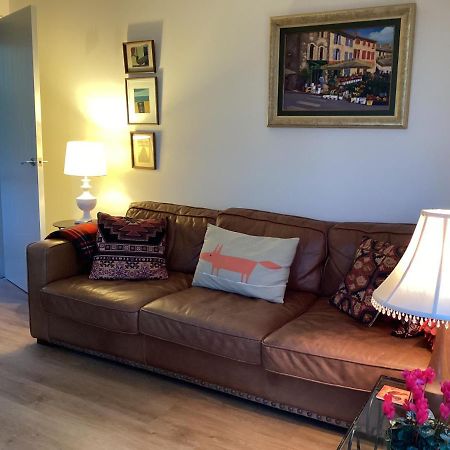 Hadley Close Dunedin Extérieur photo
