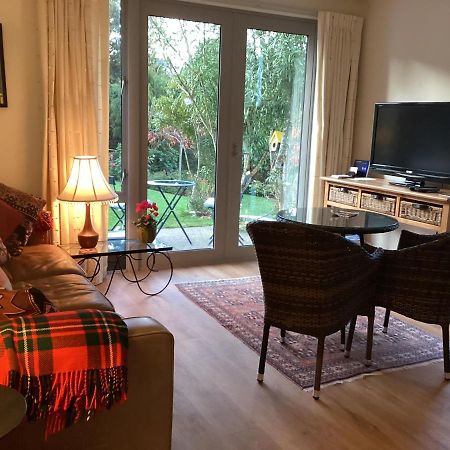 Hadley Close Dunedin Extérieur photo