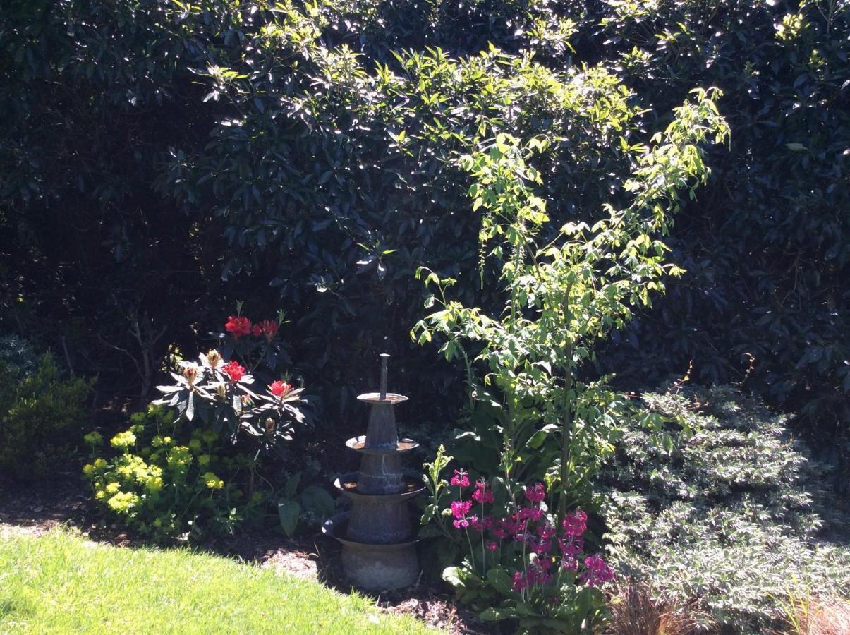 Hadley Close Dunedin Extérieur photo