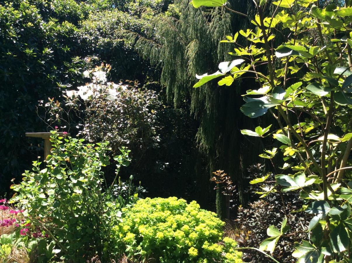 Hadley Close Dunedin Extérieur photo